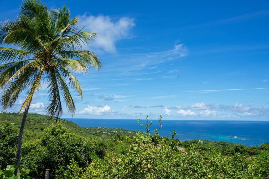Вілла Domaine Des Tourterelles Capesterre Екстер'єр фото